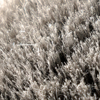 Work Stuff MONSOON XL detailingový kartáč – 5x50cm