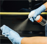 Koch Chemie Panel Preparation Spray (Pps) - Čistič a odmašťovač 500ml